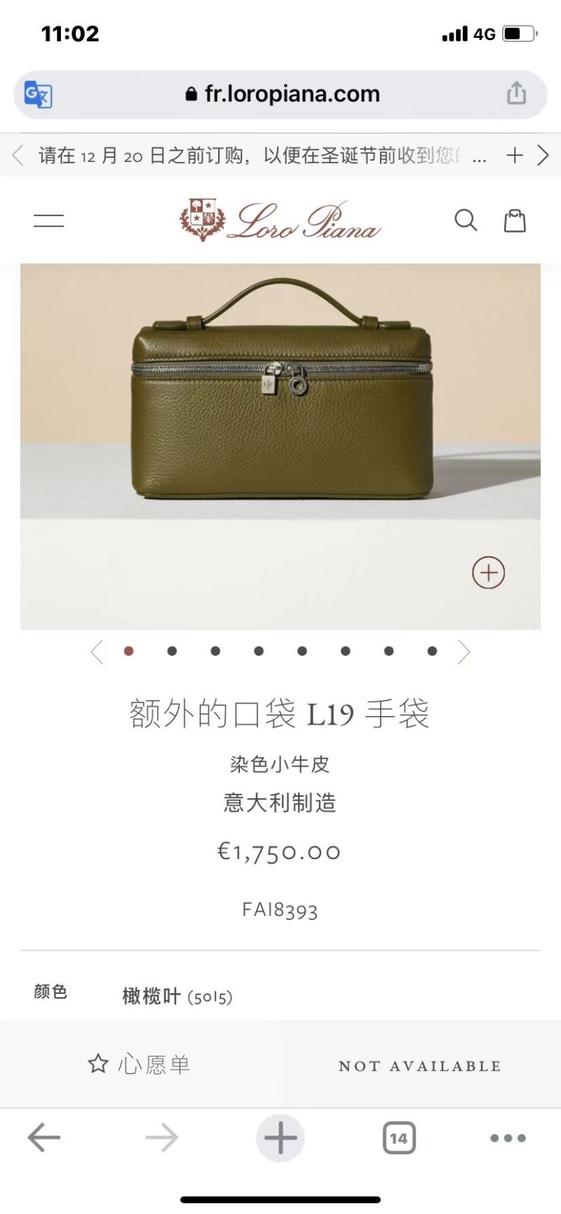 Loro Piana Satchel bags